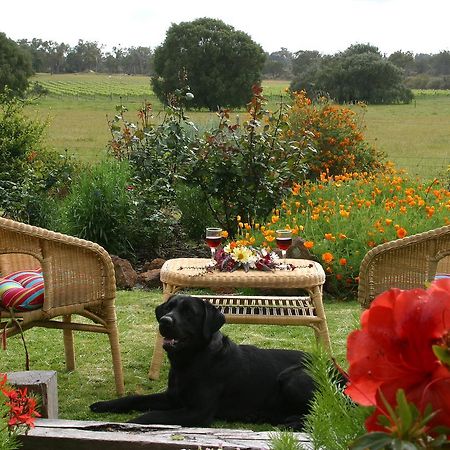 Silversprings Spa Retreat Pet Friendly Cottages And Glampings Metricup Exteriér fotografie