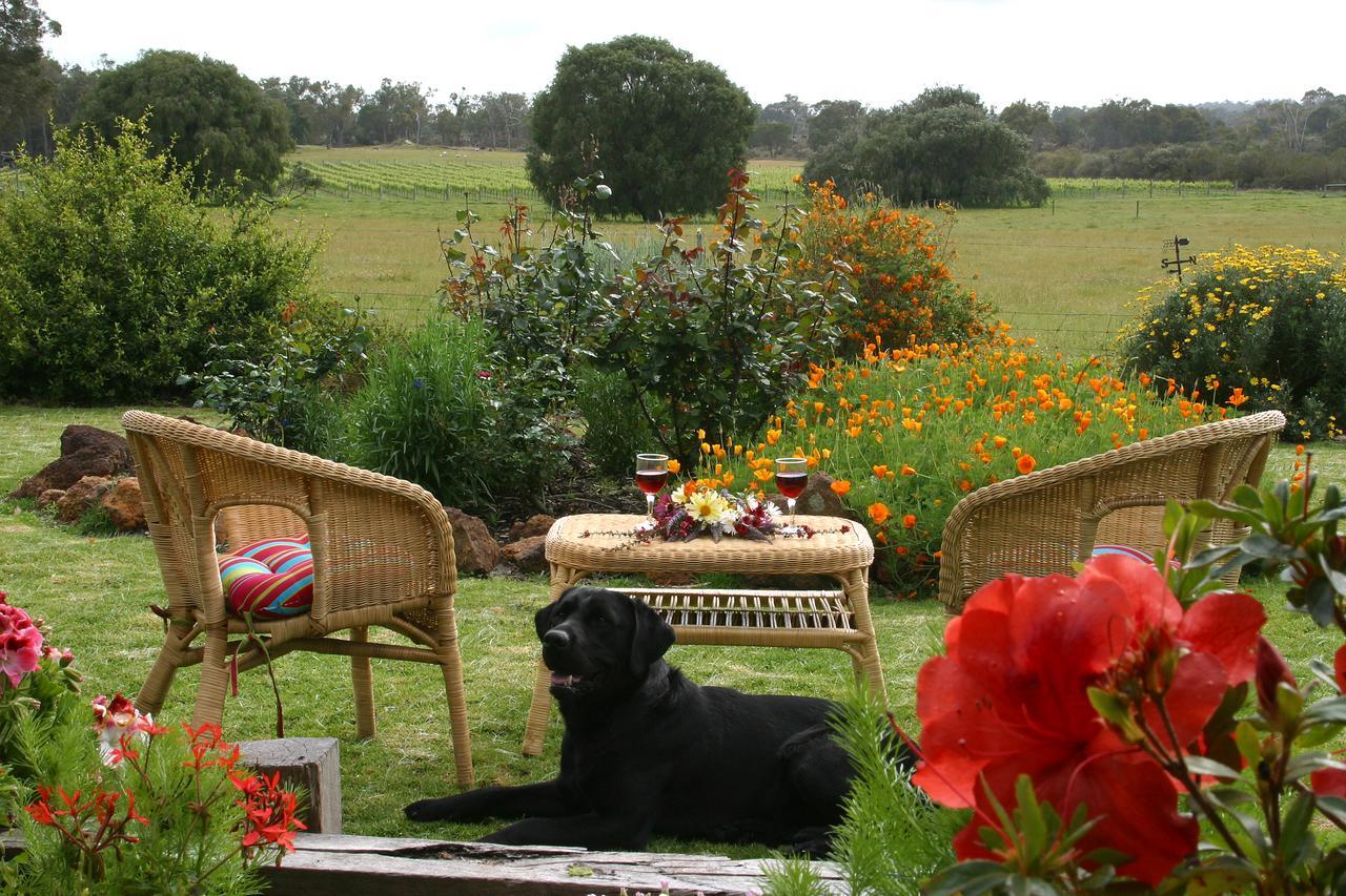 Silversprings Spa Retreat Pet Friendly Cottages And Glampings Metricup Exteriér fotografie