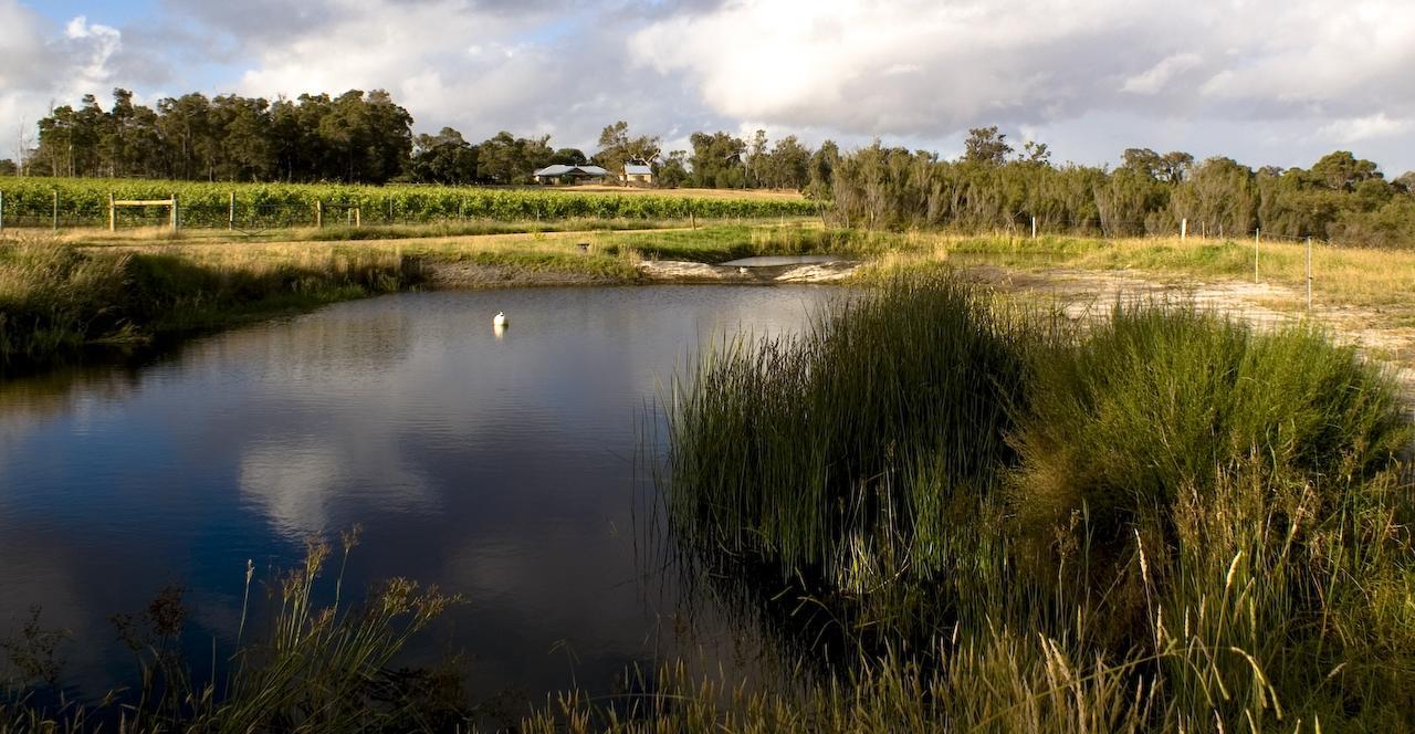 Silversprings Spa Retreat Pet Friendly Cottages And Glampings Metricup Exteriér fotografie